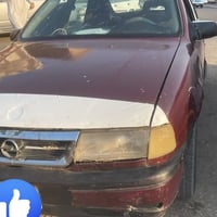 يدخن • بدون صبغ • صلاح الدين