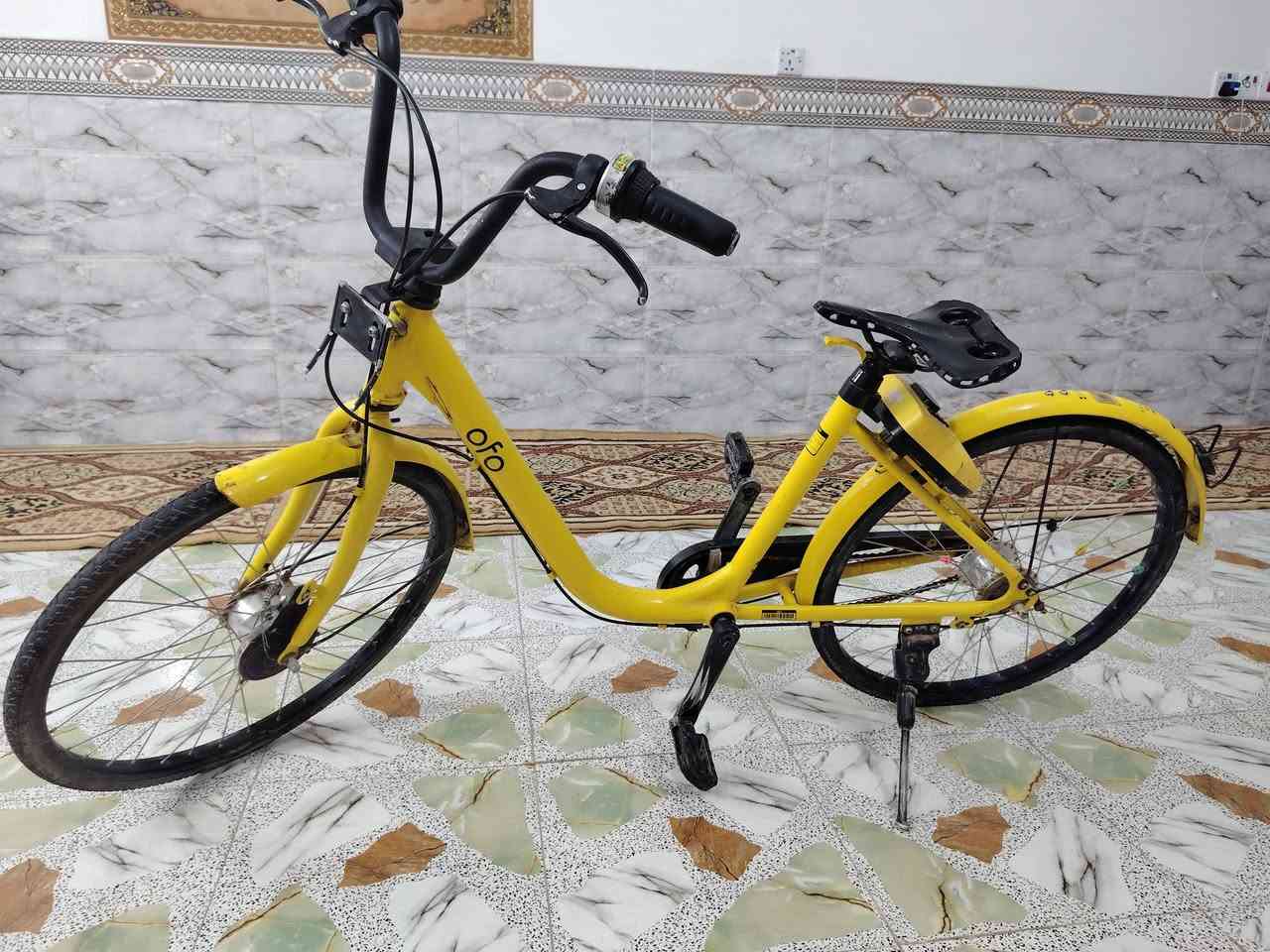 بايسكل ولادي للبيع oFo جديد ونضيف باسكل يحتي عله جرس وكير من 1الى 3  مكينه بلادي وتواير بلادي جوبلس 
بس عوزله كشن  سعر خاص ***********
