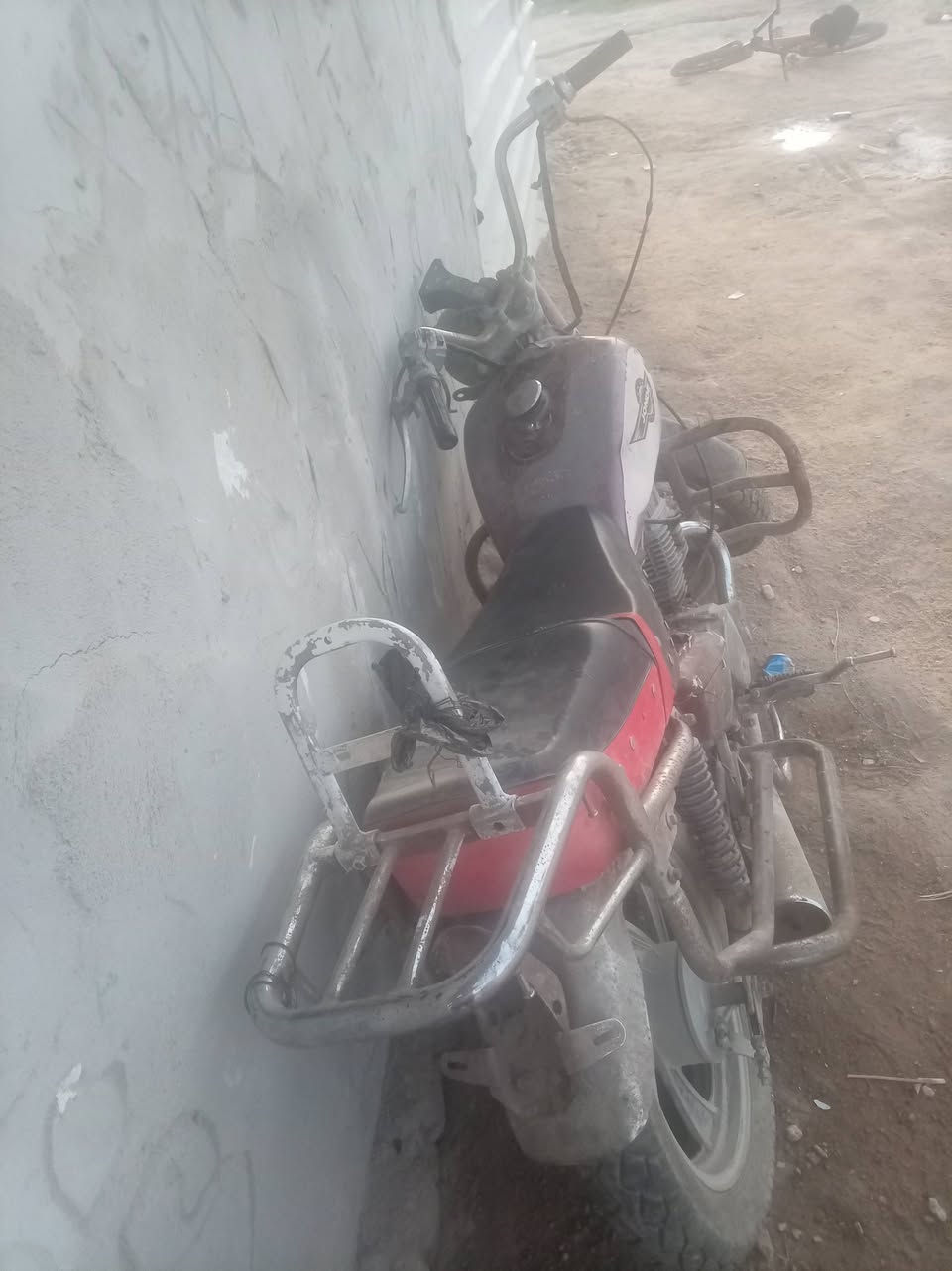 جونده