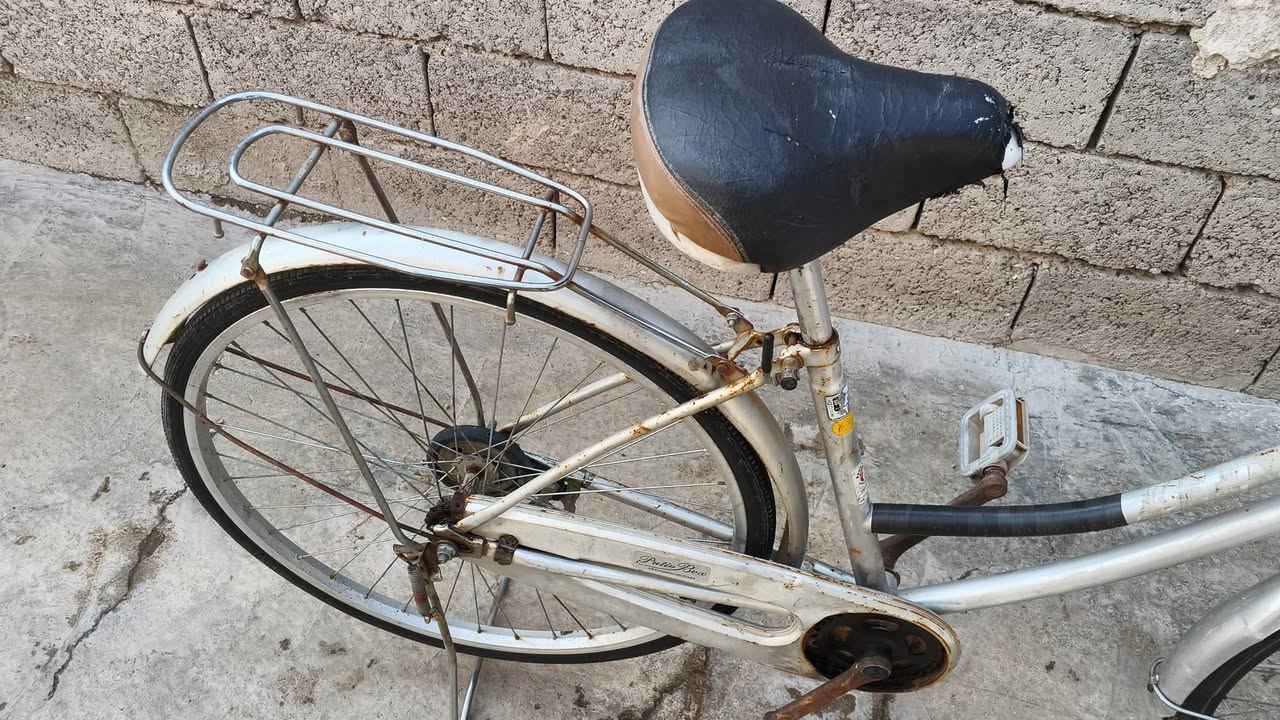 باسكيلات • ما بيهن عيب