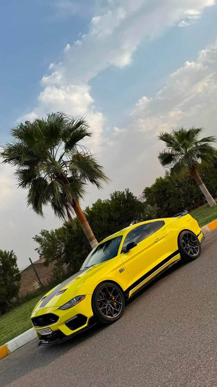 موستنغ Mach1 • ٢٠٢١ • ٣٨٠٠٠ مايل