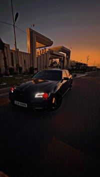 بنوراما • جلد • ٢٠١٥