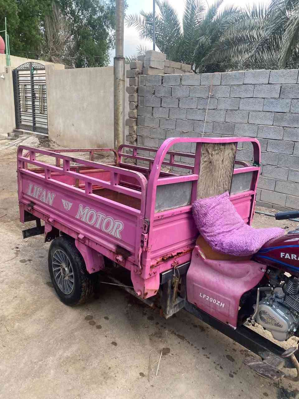 ستوته فرس • موديل ١٦ • ابيض