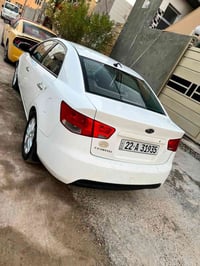 ٢٠١١ • بدون صبغ • مكفوله