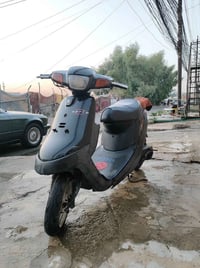 بوتين • دبل سكريتر • نضيف