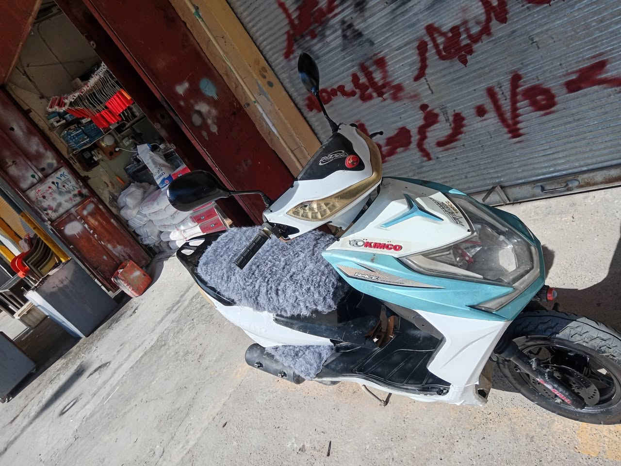 دراجة • معمر • كروبيات
