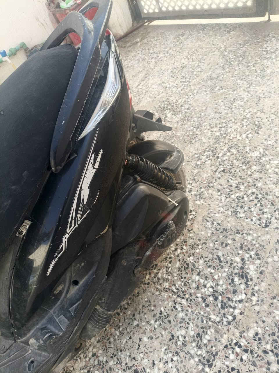 ثعلب • شقالة • الشمتل