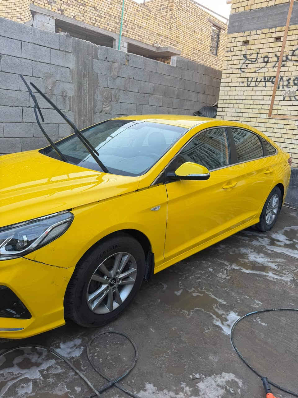 سوناته • ٢٠٢٣ • وارد كوري