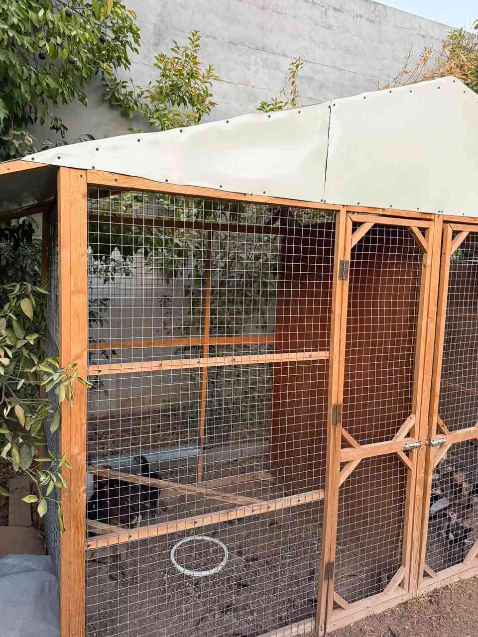 سلاو
ئەم قەفەسە بۆ فرۆشتن تازە دروس کراوە 
بۆ مریشک کۆتریش ئەبیت  قیاسی ٣ متر بە ١.٣٠ متر 
بەرزی ١٨٠ سم زۆر پاک و جوانە ئەشتوانی بەینی بدەی  نرخی ١٥٠ معاملە شوێن کەلار 

***********
