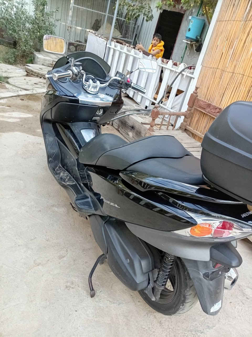 فورزا • صفر • كفاله
