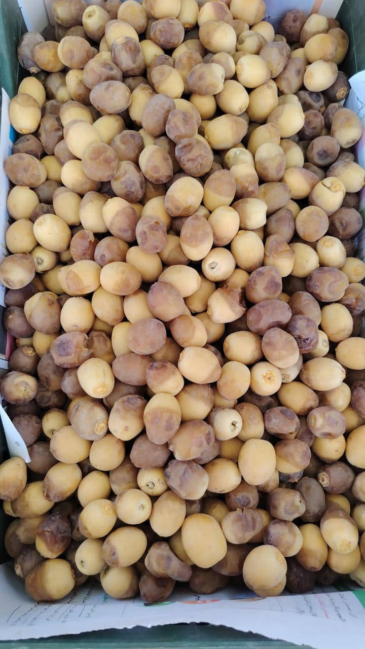تمر برحي
