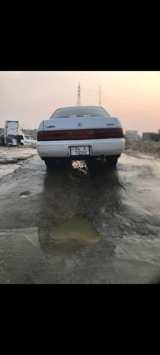بطه • قير جديد • تبريد ثلج
