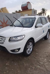 سنتافي ٢٠١١ • وارد خليجي • ٧ راكب