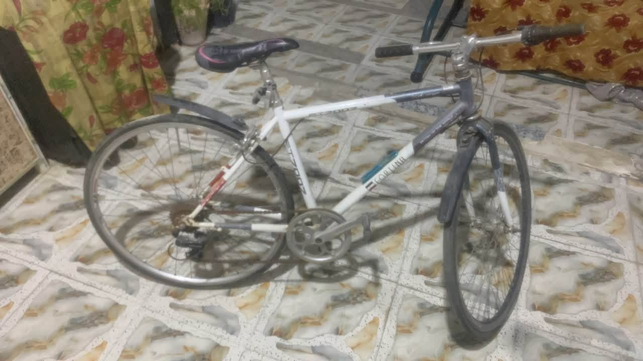 السلام عليكم بيسكلات للبيع c700+بناتي حجم26 مثل ما موضح بل صور ثنيهن ب110 مستعجل ع بيعه مكاني بغداد زعفرانيه ربيع 
التواصل ***********
