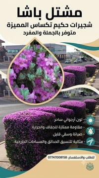 حارس تكساس • ٦٠سم • كمية محدودة