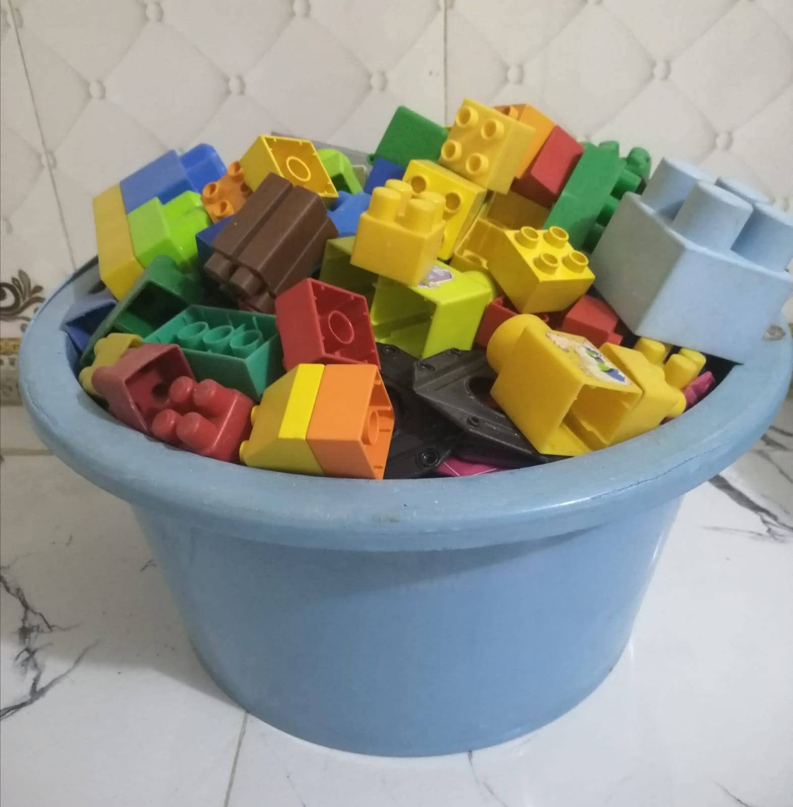 للبيع كلمن وسعرة
