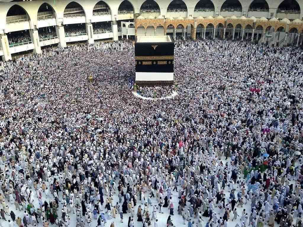 عمرة شهر ١١ • مكة ٦ ليالي • بوفيه ٣ وجبات