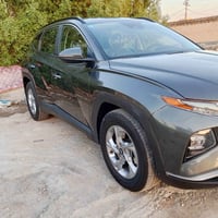 توسان ٢٠٢٣ • فحص سونار • صبغ وخدوش