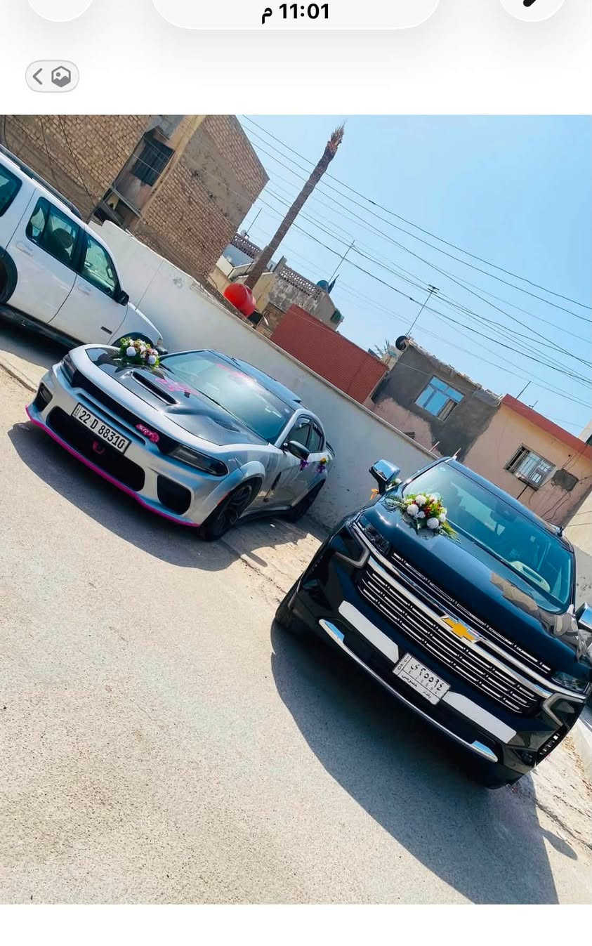 جاجر سكات باك 
مديل 21 
السعر 200 بيهه مجال 
وأيد بدي اصل فول موصفات 
بدون دواخل السياره فول الفلول 
عنوان بغداد الامين  
***********
