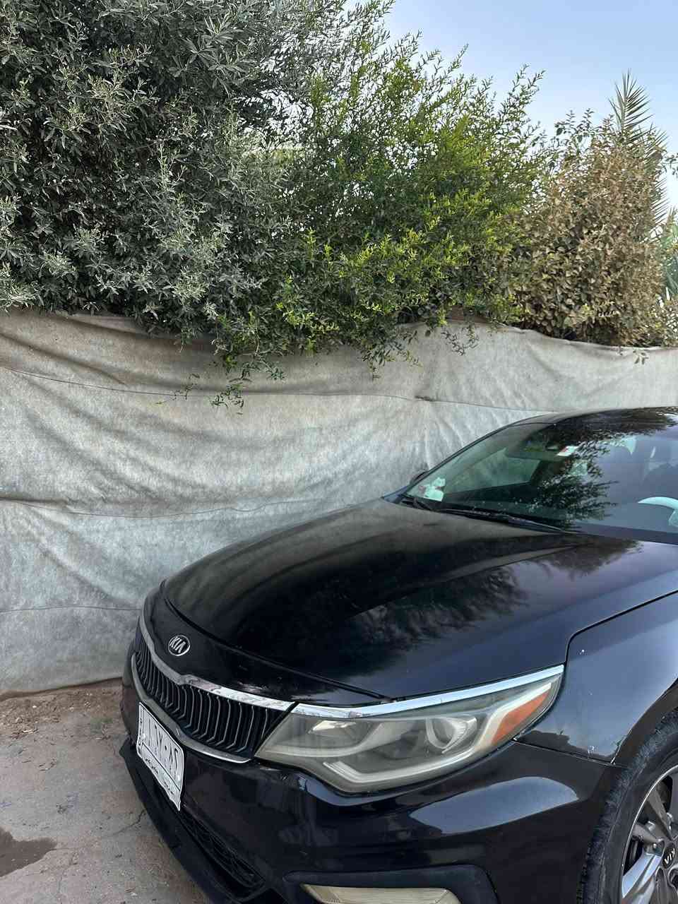 سلام عليكم لبيع كيا اوبتما موديل2020 أمريكي 2400 السياره بيه بنيد وبارد بلجاملغ الخلفي فقط سياره جديده معوقين باقيله ٤ اشهر سياره كير مكينه حداديه باتري كله جديد سعره 125 وبيه مجال ***********ديوانيه
