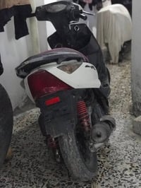 ثعلب • نضيفه • كهربايات