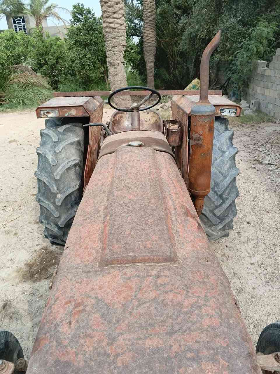 عنتر • موديل ٨١ • بغداد أبو غريب