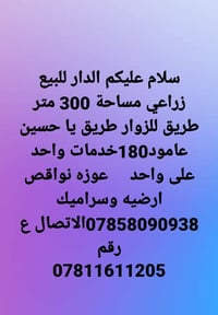 طريق يا حسين • طريق للزوار • ٣٠٠م