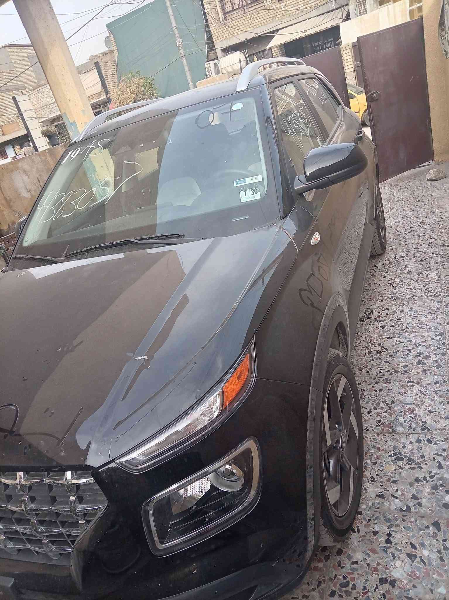 فينو • ٢٠٢٥ • الدورة