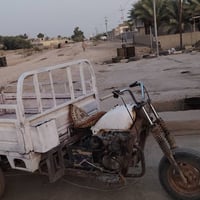 ستوته • 2013 • كلجات ودبلات