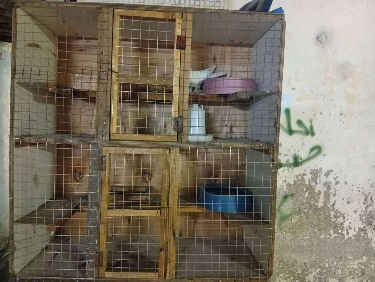 سلام عليكم شباب بيوت طيور حب السعر 10 وبيهن مجال خانه طابقين سعرهة 15 ولقفص سعرهة 75 المكان الامين ثانيه وهاذا رقمي متواجد واتساب والي يحب يتصل ***********
