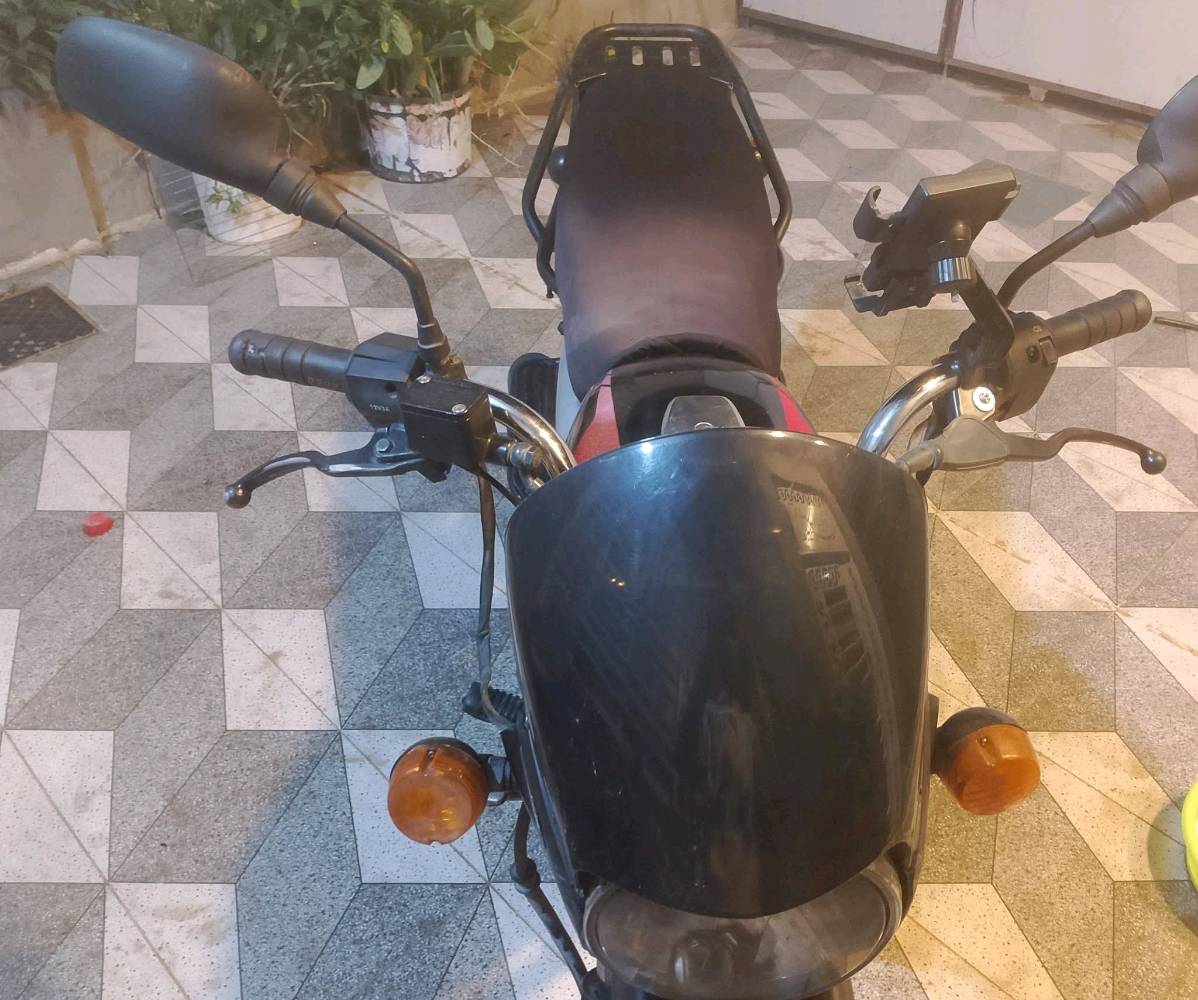 بوكسر • جبلي • ٢٠٢١