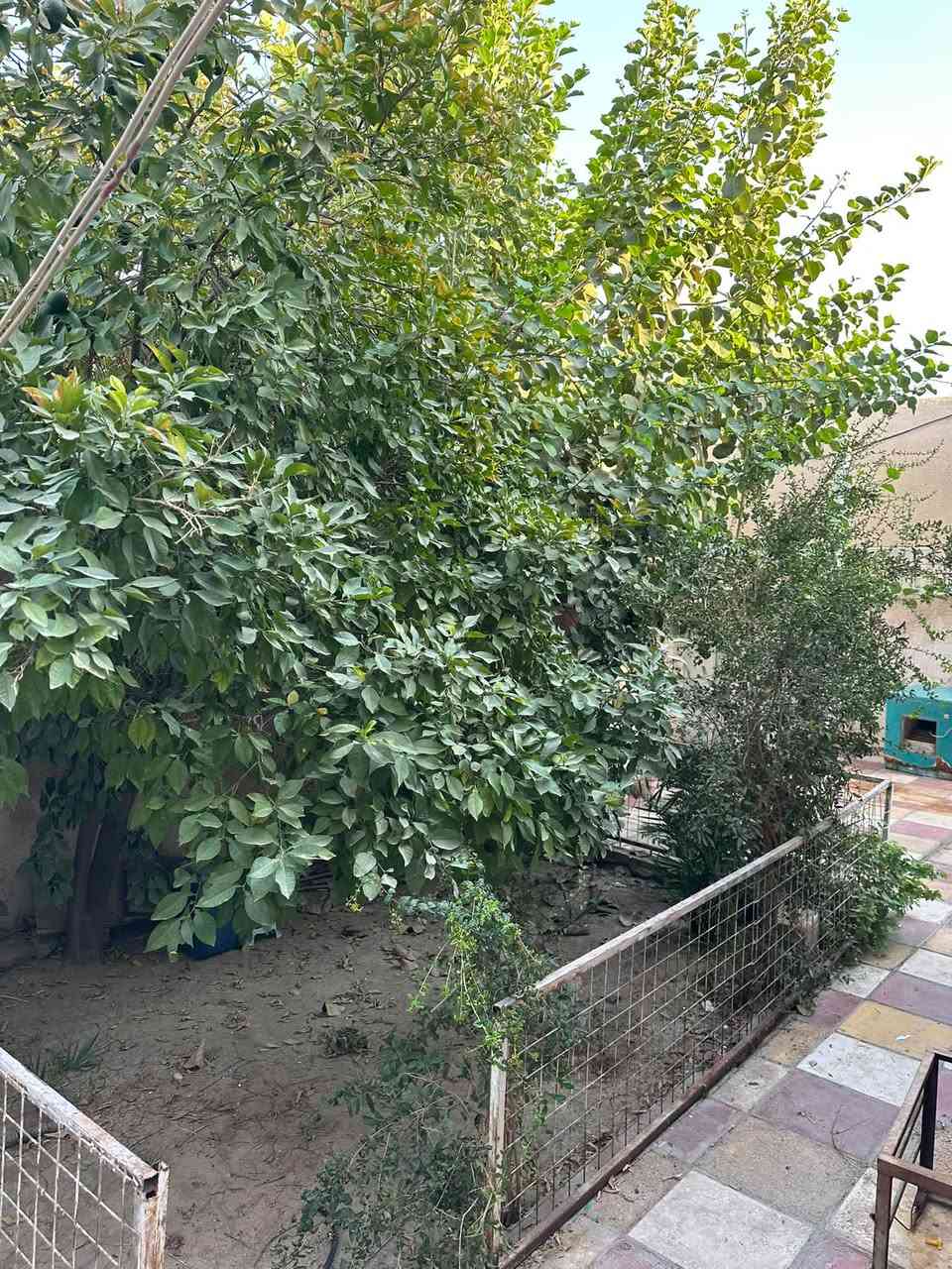 ٢٥٠م • بيت قديم • محاويل حي١٧