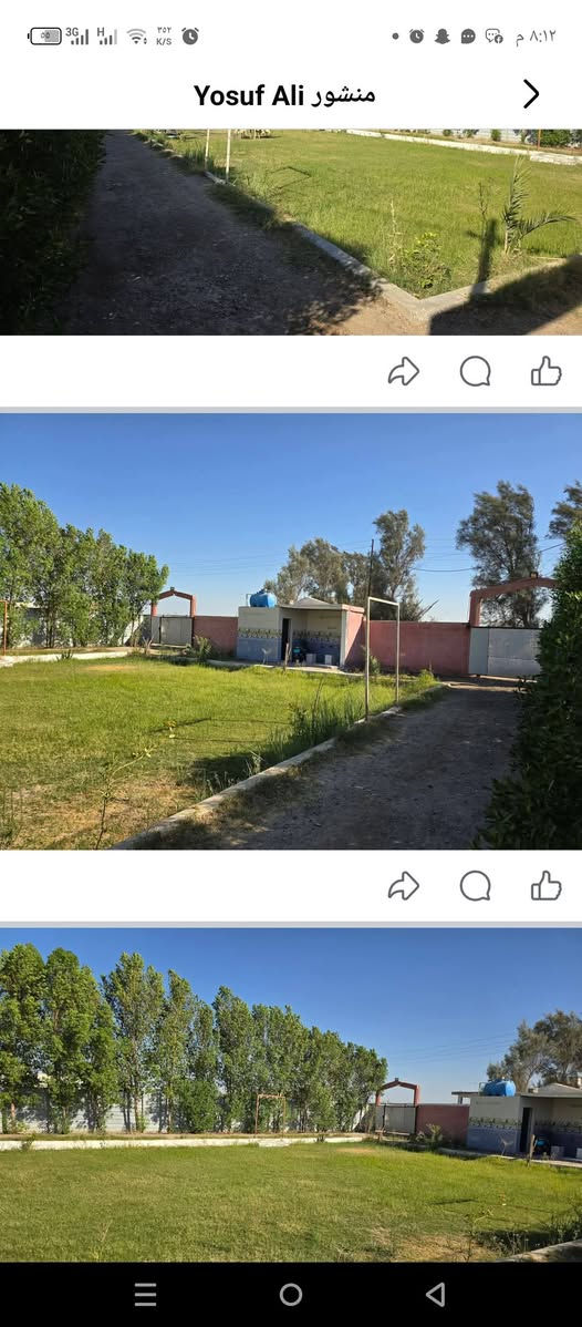 يا الله للبيع مزرعه معه فله بغداد اليوسفية منطقة الشهداء خدمات كامله تبليط مي سقي مي رساله كهرباء سحب تبعد عن شارع حله بغداد ربع ساعه للاستفسار اكثر مراجعة مكتب الرضوانيه والتصال ع ***********

نص مكتوب في الصور:
- Yosuf Ali منشور
- منشور Yosuf Ali
- منشور Yosuf Ali دار للبيع معة كاع طابو زراعي سند 25 تحويل ثاني يوم يتكون البيت من 5 غرف نوم وصاله واستقبال ومطبخ حار وبارد واستقبال ايضن للنساء وحمامات داخل البيت وخار... المزيد