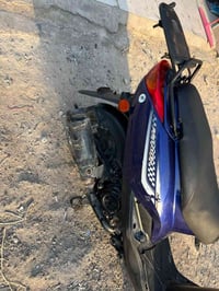 بغبغا • جديده • رقمي