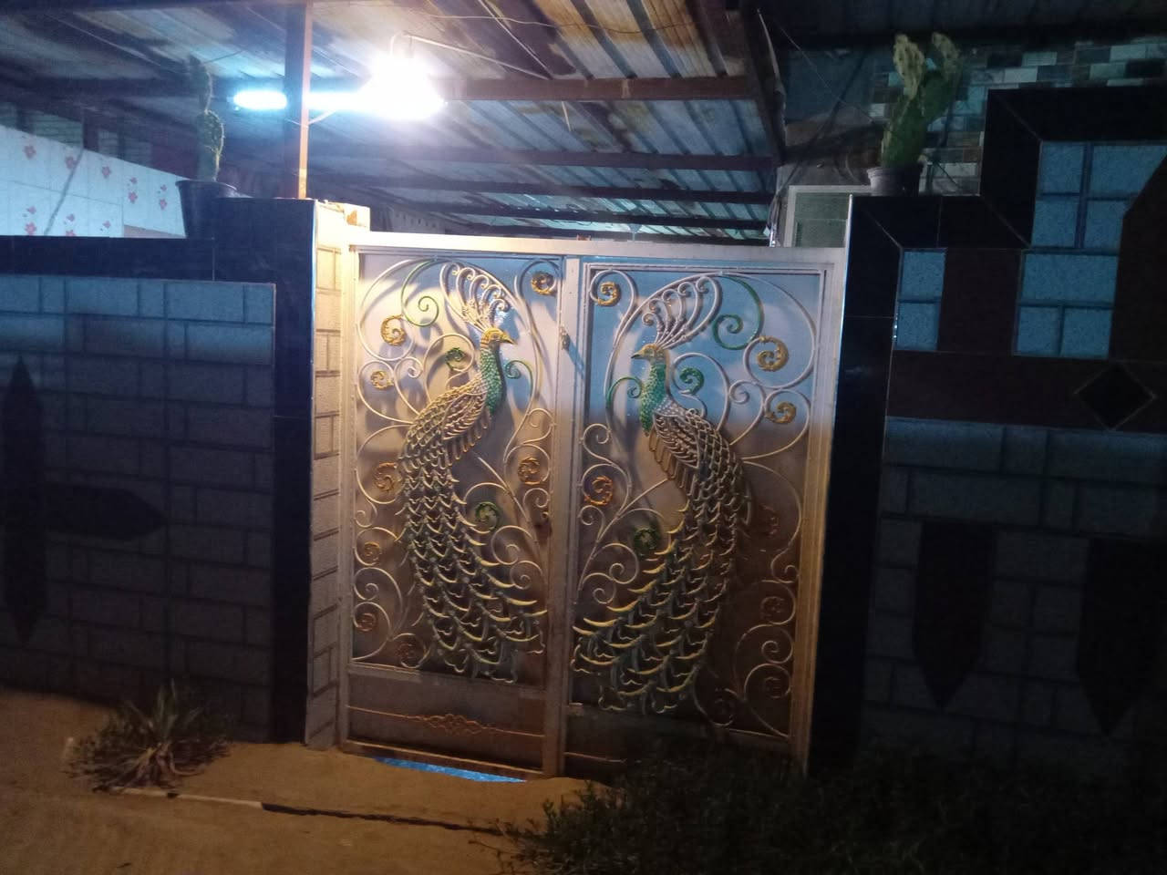 السلام. عليكم 

بيت طابو زراعي سند ٢٥ مسوي معامله فرز وحدي سند بأسمي 
مساحته ١٥٠ متر ١٠ عرض ١٥ نزال

البيت كله سيراميك حتى وجهيته

وتفاصيل البناء بالصور 

البيت عكاده 

مكانه خلف مدرسة الضامن او خلف مول الجود 
يبعد عن شارع العام ٢٠٠ متر 

الشارع تبليط 
ماي كهرباء مجاري بالباب جاهزه 

للاستفسار اكثر 
***********

