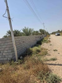 نص دونم • طابو عل ٢٥ • العثمانيه ام العظام