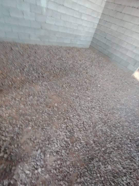 السلام عليكم  كادر عمل متفرغ تعديل  بيوت فرش حجر واي شغل  عندك نشتغل 
ونجيك وين ما چنت (الزاب وقراها الزوية)📍🚘
(كلشي نشتغل وبأنسب  الأسعار )
الهاتف :*********** والرزق على الله
