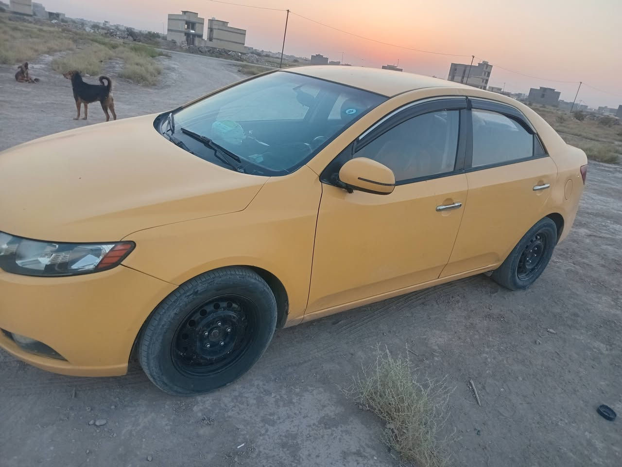 للبيع سياره تكسي فورتي موديل ١٣ بغداد رقم انكليزي باسمي مصفره هيءه وغرامات سنويه لغاية ٣٢  للاسنتفسار الاتصال على ***********
