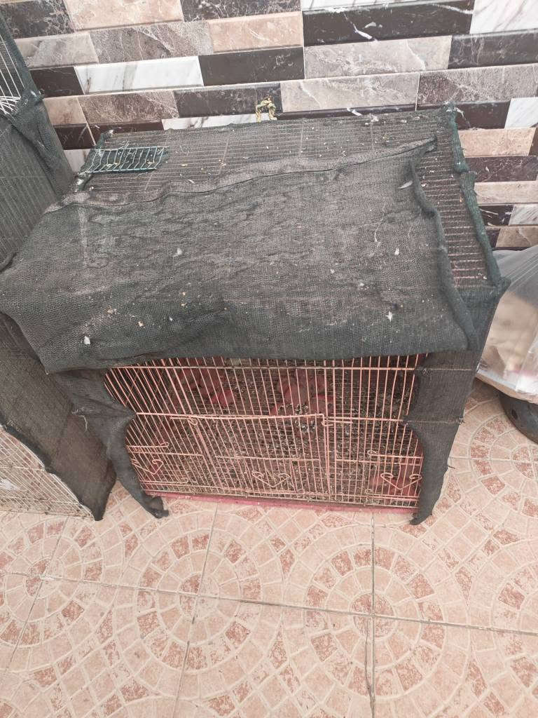 خانة تكاثر • عدد ٢ • ٧٥×٤٥×٩٠