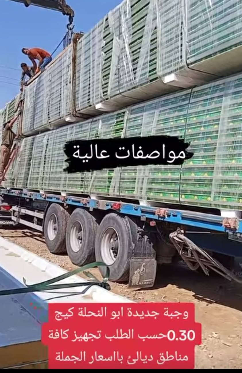 مكتب وساحه المصطفى للسندويج والحديد الوكيل الحصري في ديالى 🍊 يوفر كافه انواع السندويج والحديد الكيربي والقرميط والبي ار سي وطبقات الهيسكو للاستفسار ***********,,,*********** اهلا وسهلا بالجميع
