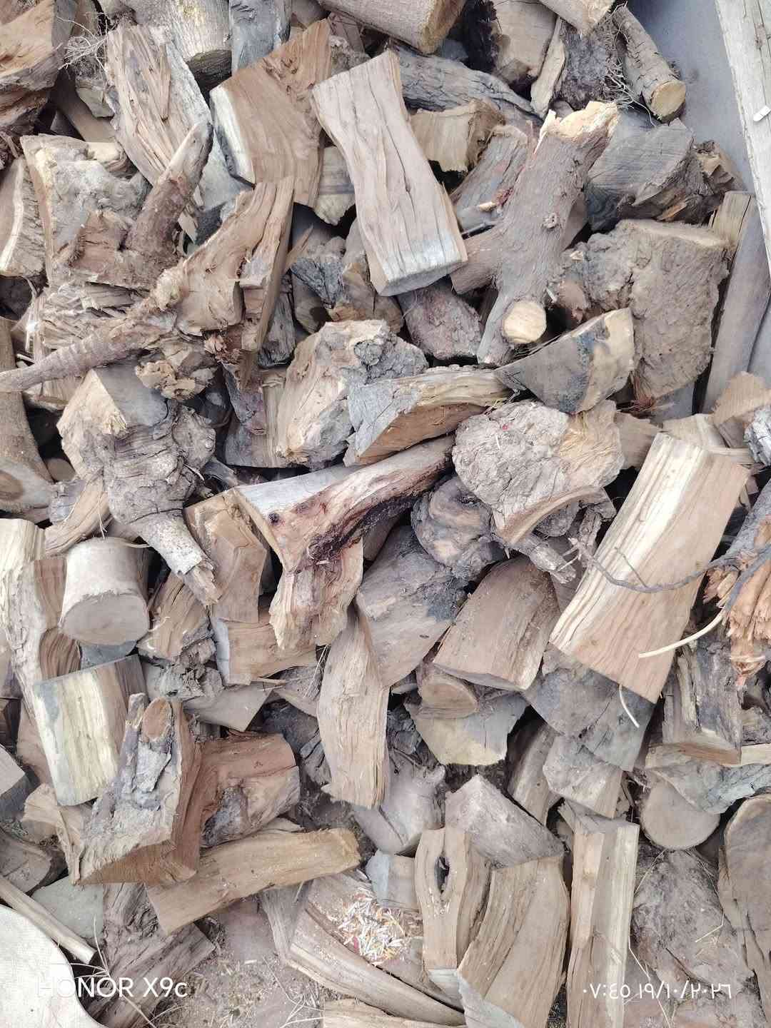 حطب • الگونية
