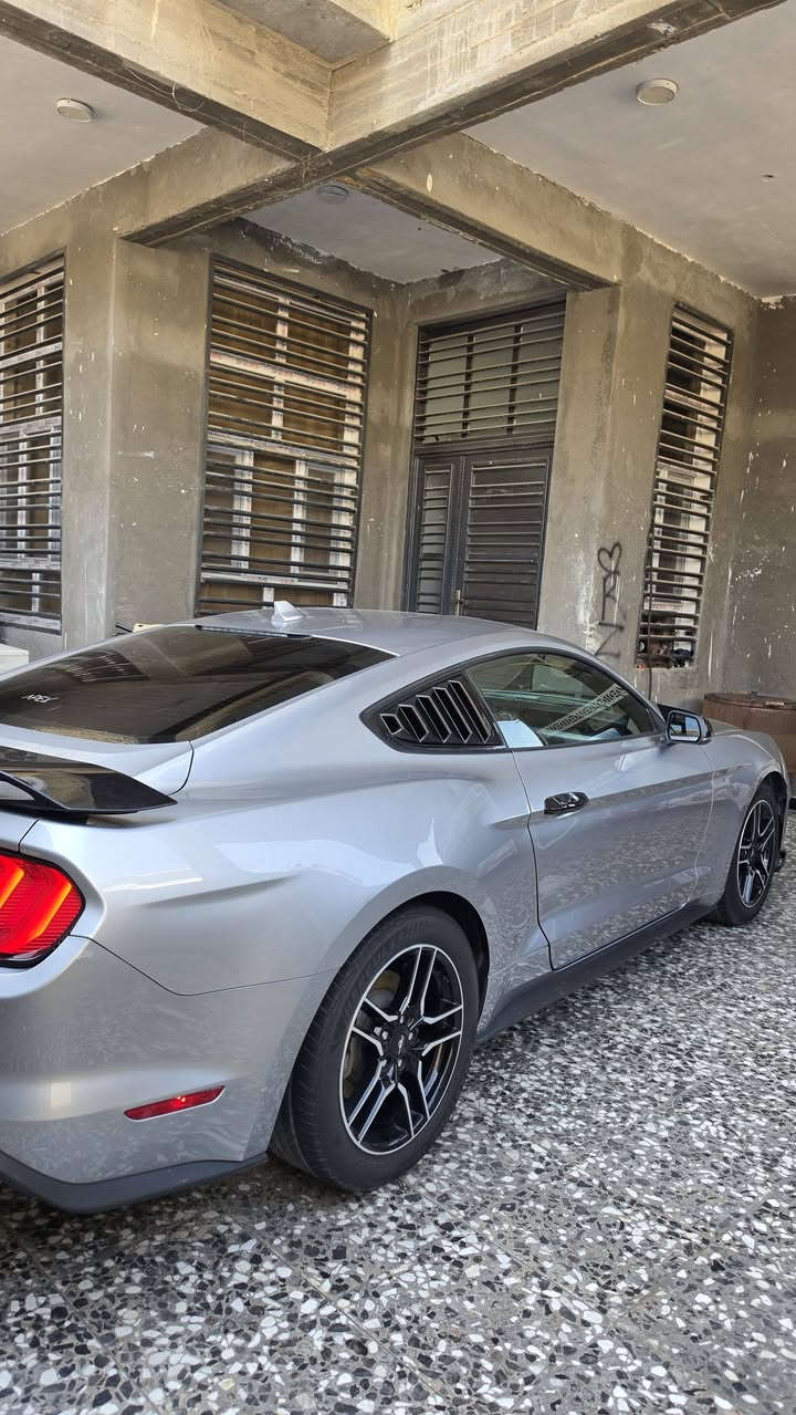 � للبيع: Ford Mustang EcoBoost Premium
📍 الموقع البصرة التنومة    ***********

📅 الموديل: 2022

⚙️ المحرك: EcoBoost (اقتصادي + أداء قوي)

🔄 القير: أوتوماتيك  (10 نمر)

🎯 الفئة: Premium (أعلى مواصفات)

✨ المواصفات:

* شاشة كبيرة + نظام ملاحة

* كاميرا خلفية + حساسات

* مقاعد جلد كهربائية

* ❄️🔥 تدفئة وتبريد المقاعد

* 🎮 5 مودات قيادة (Sport / Normal / Track / Snow / Eco)

* 🛞 مودات ستيرن للتحكم بثقل وخفة المقود

* 🔑 تشغيل عن بعد

* تشغيل بصمة + دخول ذكي

* 💡 إنارة ترحيبية بالمرايات (Welcome Lights)

* إضاءة LED مميزة

* نظام صوتي فاخر

🛠️ الحالة:

* نظيفة جداً من الداخل والخارج

* بدون مشاكل ميكانيكية

* جاهزة للاستخدام مباشرة

💰 السعر 138 

حادث سياره موجود بالمنشور 
بيه ٣ قطع الامامية مصبوغه وبنيد مبدل  مال شيلبي وكلير بالباب العبري
