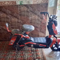 باسكل شحن • جديد • فحص