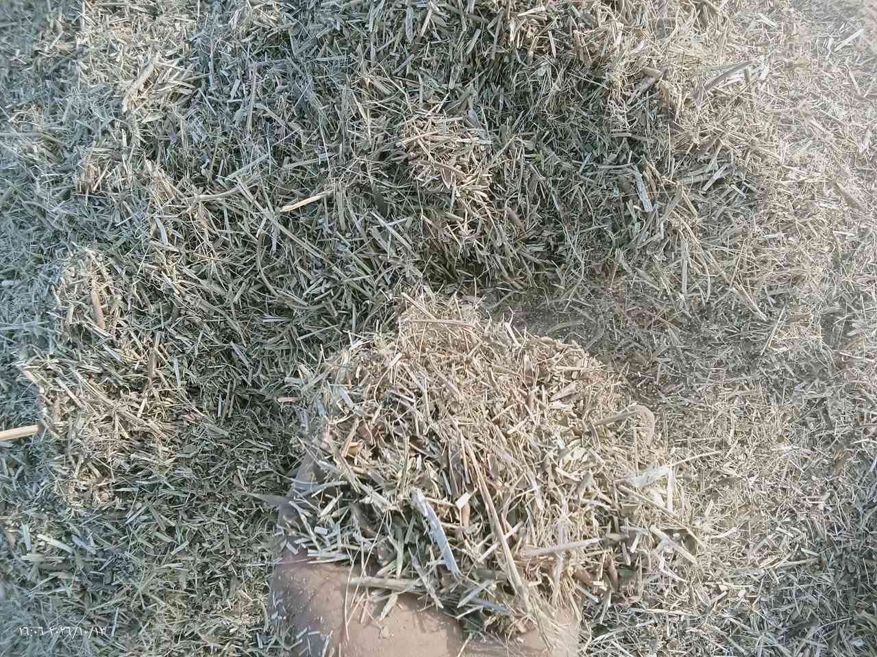 تبن ماش • قره تبه