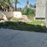 بعقوبة المركز • ٨٦م • وجه ٧ ونص