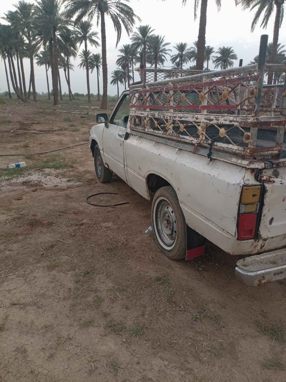 بيكم • ١٩٨٠ • رقم الانبار