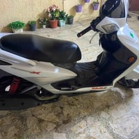سكنس • كوري • مكفولة