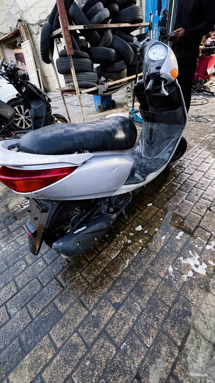 بريز • جديدة • بلكارتون