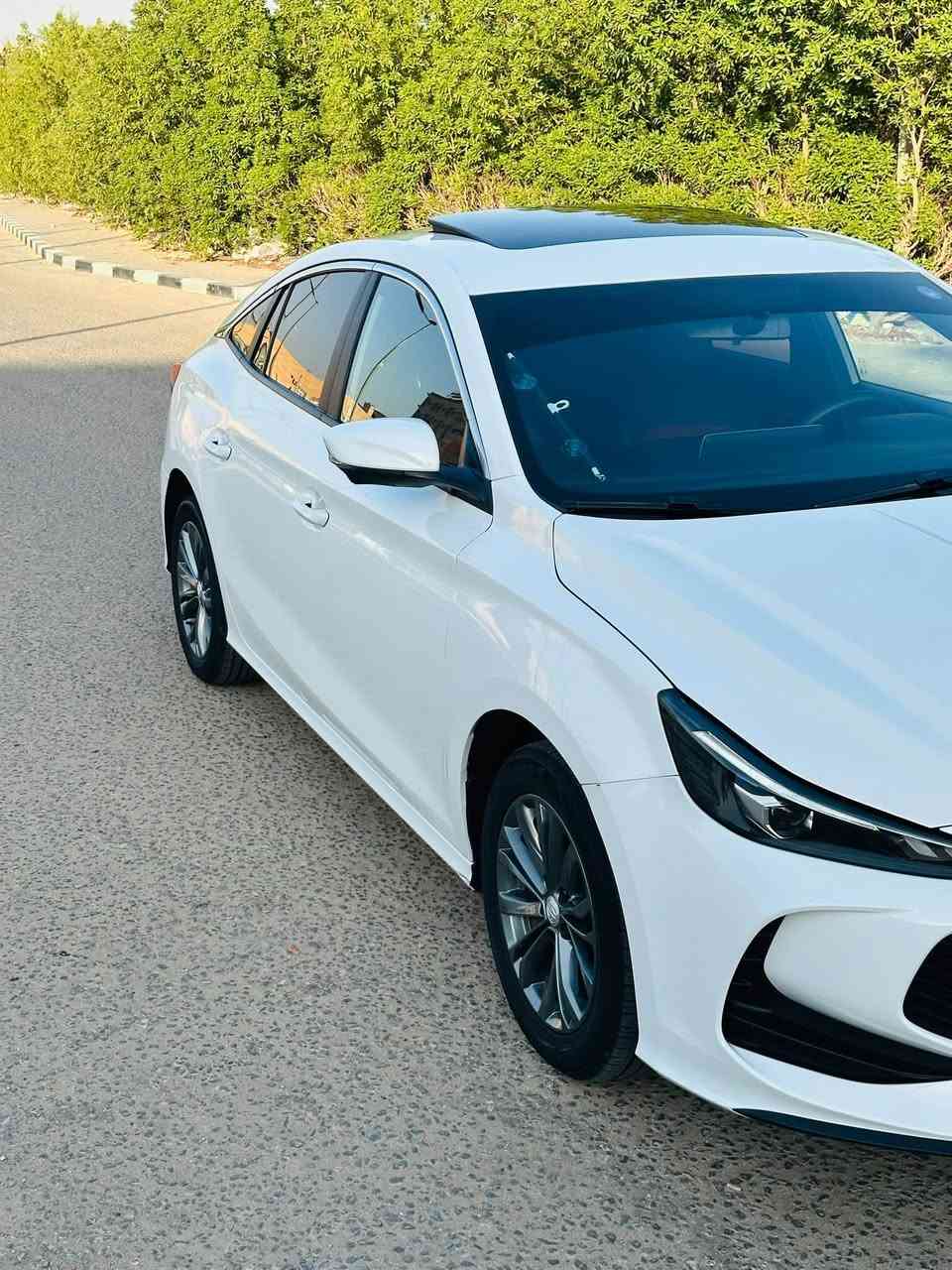 السلام عليكم
mg.gt 2025
فول مواصفات   مثل ما بصور 
كولشي جديد ع وضع الشركه 
ماشيه 32
 تريد تحويل تريد وكاله 
السياره بيه بس رشه جاملغ جهة الصدر  الأمامي وشويه من بنيد بدون لا صبغ ولا  شواصي ولا ايرباك  ولا تبديل اي قطعه 
مكان (النجف الأشرف) السعر 112وبيه مجال 
للاستفسار ***********
