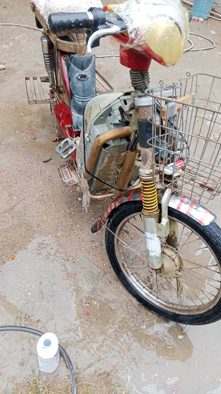 بطاريات • نص عمر • فلوجه